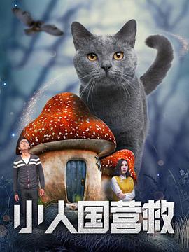 木下凛凛子v888av